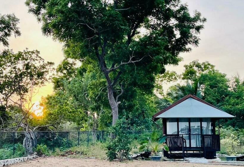 کلبه ییلاقی, Kaaya Eco Resort Yala