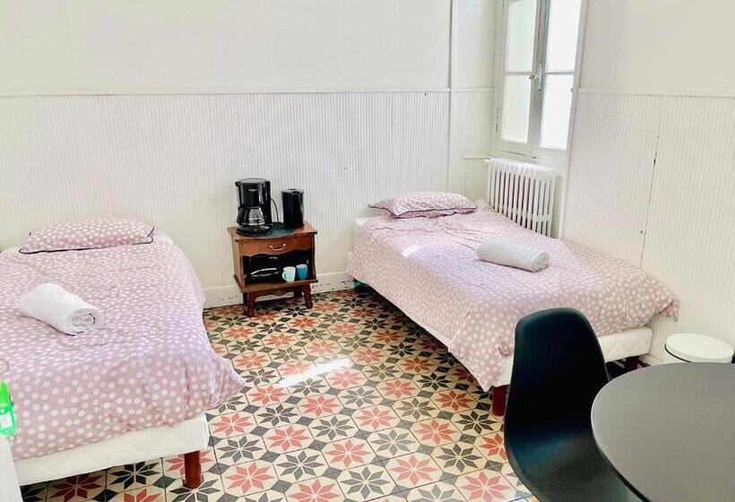 اتاق استاندارد با سرویس بهداشتی مشترک, Albi Chambres