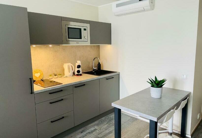 استودیو استاندارد با بالکن, Apartement Aisa