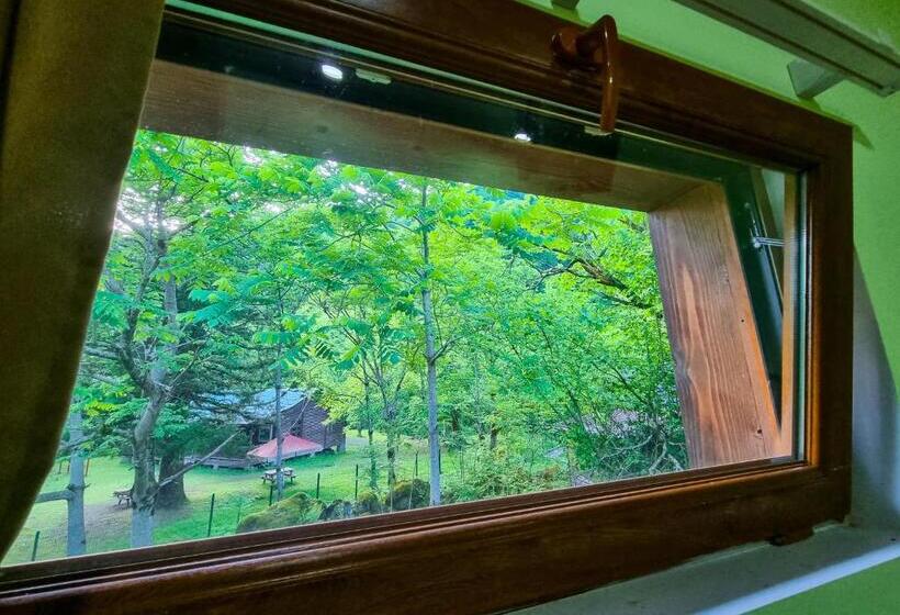 اتاق لوکس یک تخته, Mtirala National Park Hotel Orbeza