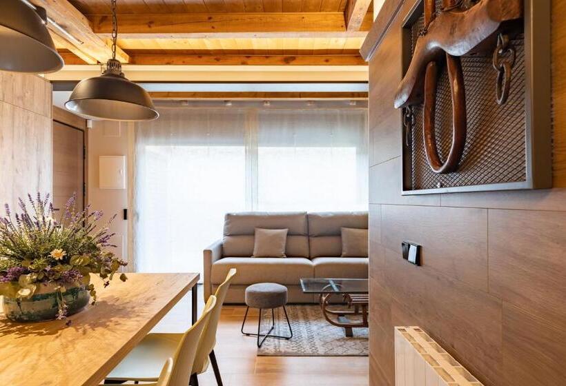 آپارتمان 1 خوابه با تراس, Cerdanya Mountain Residences