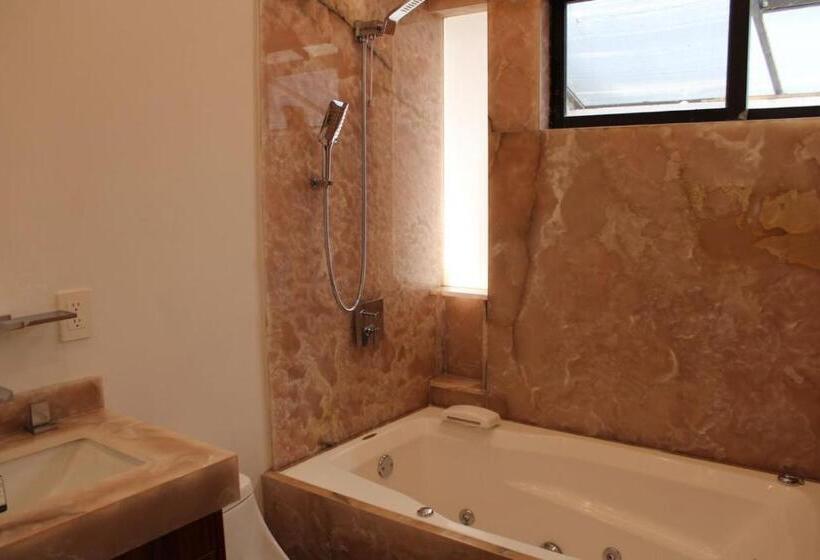 اتاق استاندارد با تراس, Casa Luna Coyoacan