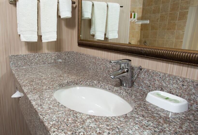 اتاق لوکس, Drury Inn & Suites Columbia Stadium Boulevard