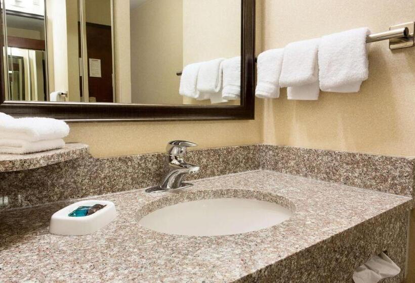 اتاق لوکس با تخت بزرگ, Drury Inn & Suites Joplin