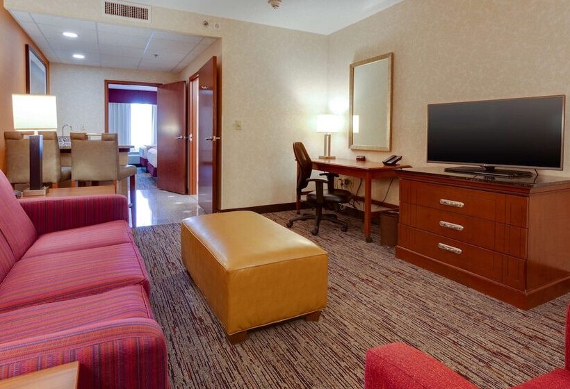 سوییت, Drury Inn & Suites St. Louis Forest Park