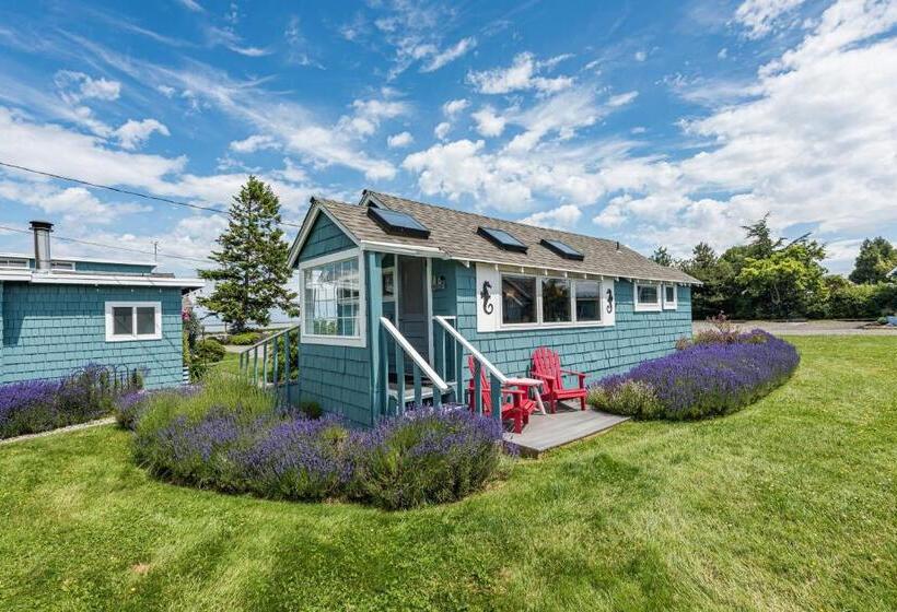 بانگلوی لوکس, Juan De Fuca Cottages