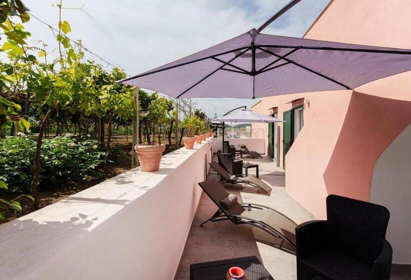 اتاق استاندارد, Le Rondinelle Rooms