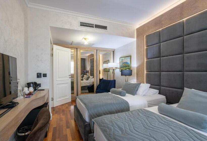 اتاق سوپریور, A Hoteli   Hotel Izvor