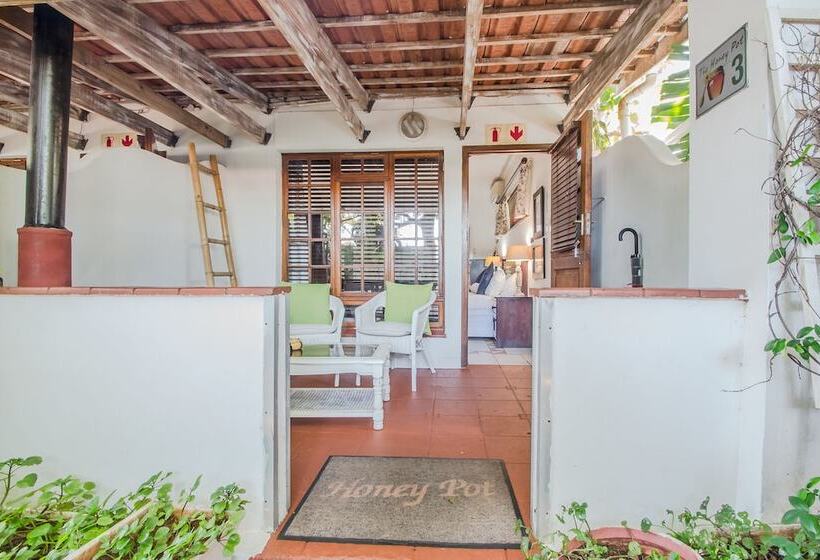 اتاق استاندارد, Honeypot Guest House
