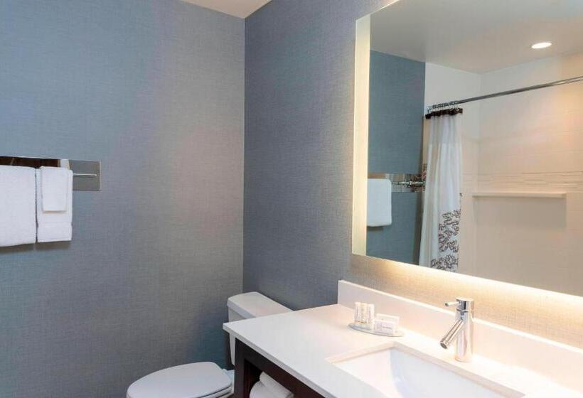 استودیو استاندارد با تخت کینگ, Residence Inn By Marriott Akron South/green