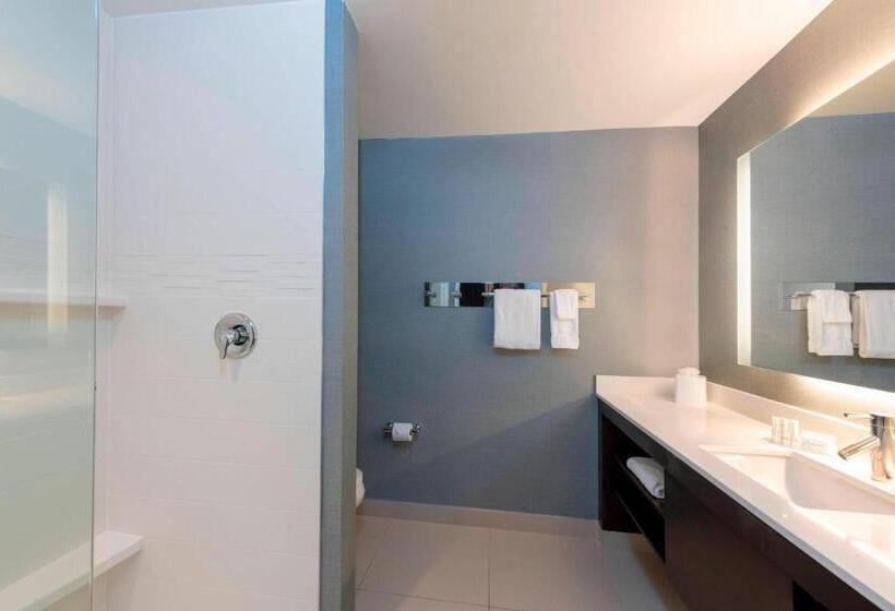 سوییت, Residence Inn By Marriott Akron South/green