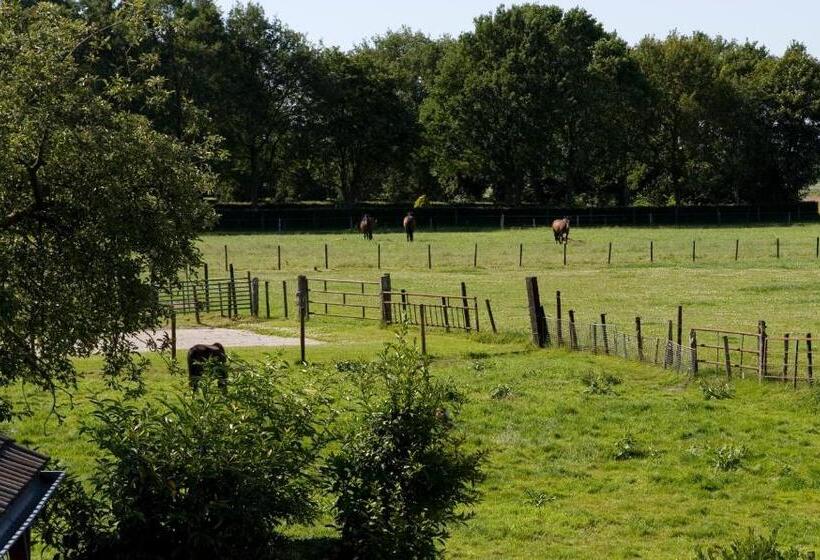 Standardeinzelzimmer, B&b De Ster Van Dwingeloo