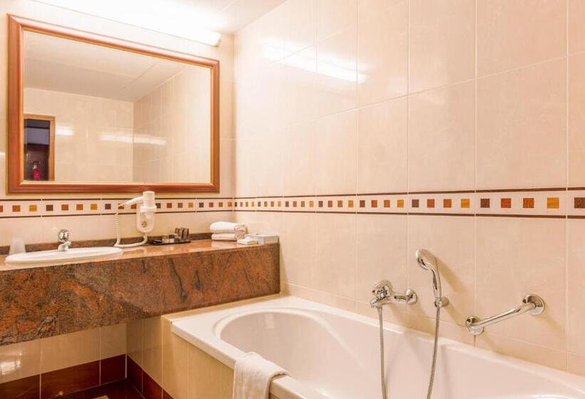 标准间, Van Der Valk Hotel Emmen