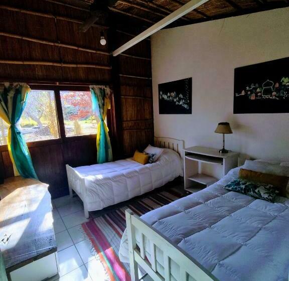 اتاق استاندارد, Eco Hostel Lo De Lola