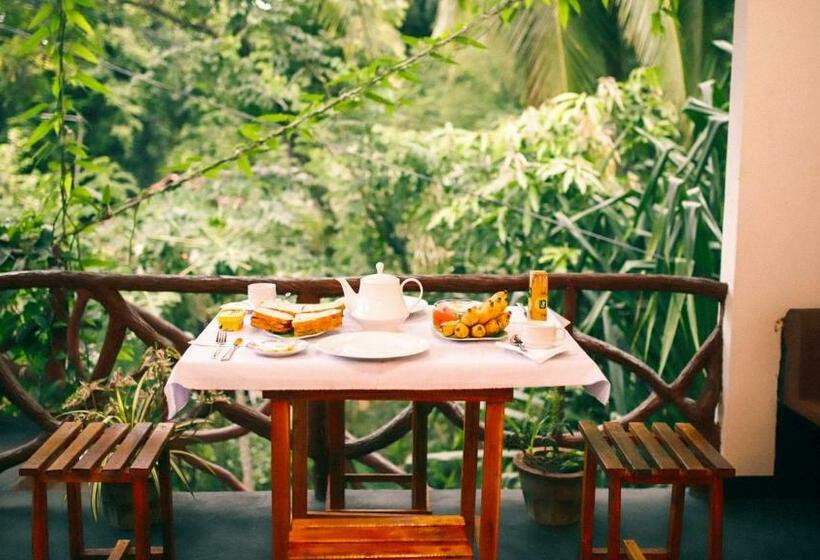 اتاق استاندارد با چشم‌انداز باغ, Aloe Vera Guest House