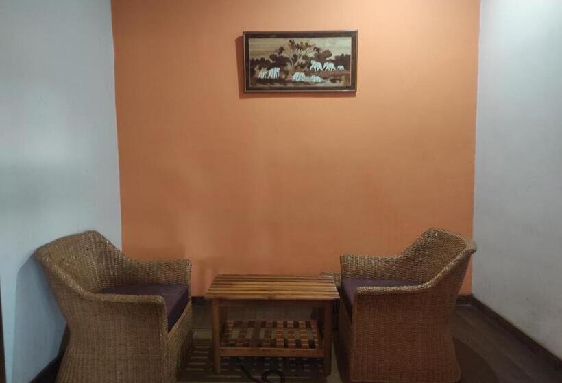 استودیوی لوکس, Changs Resort