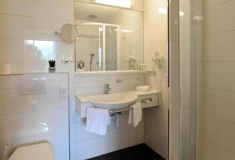 اتاق استاندارد یک نفره, Boutiquehotel Das Edelweiss