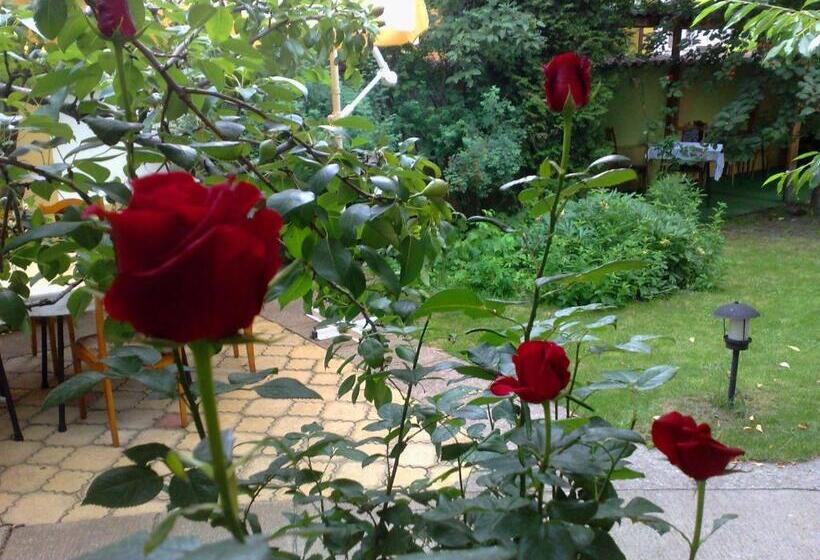 اتاق استاندارد, Family Hotel Sonata
