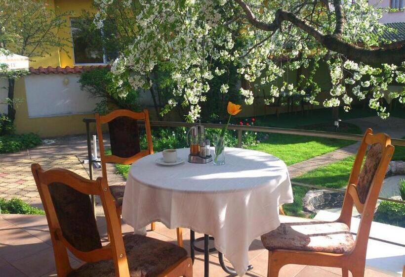 سوئیت جونیور با ماساژ آبی, Family Hotel Sonata