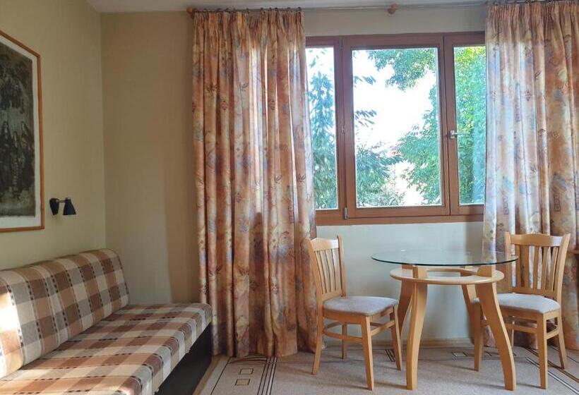 سوئیت جونیور با ماساژ آبی, Family Hotel Sonata