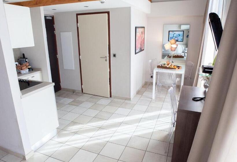 آپارتمان دوبلکس 1 خوابه, Résidence La Villa D'elsa