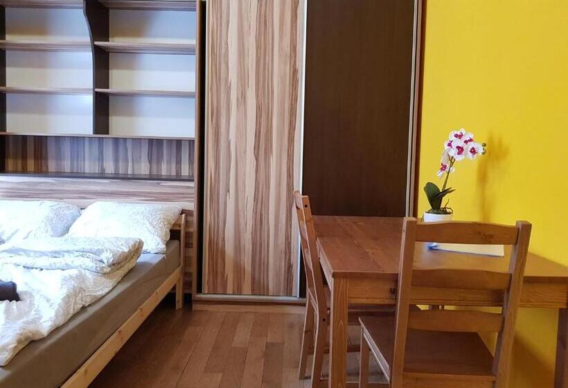 اتاق استاندارد با سرویس بهداشتی مشترک, Aurora Apartments