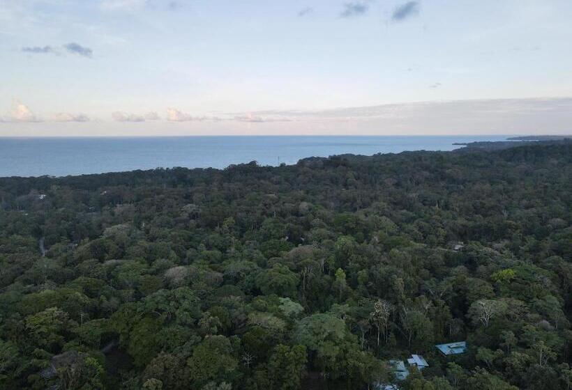 ویلای لوکس 1 خوابه, Villas Y Glampings Mya  Puerto Viejo, Limon, Cr