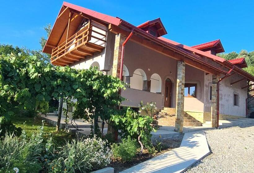 اتاق استاندارد, Casa Hera
