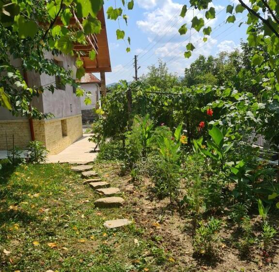 خانه 4 خوابه, Casa Hera