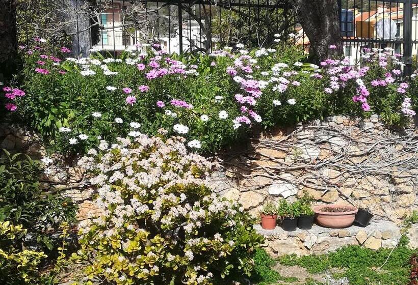 سوییت جونیور لوکس, B&b Polline & Conchiglie