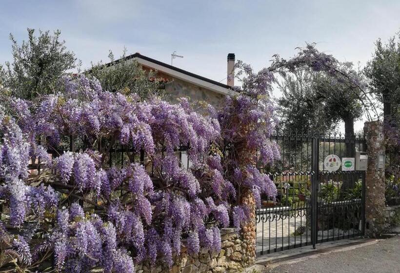 سوییت جونیور لوکس, B&b Polline & Conchiglie