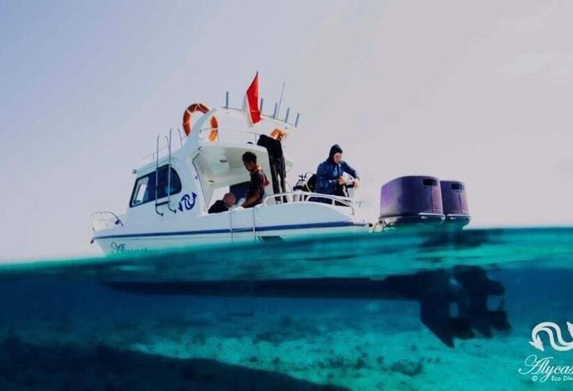 سوییت لوکس, Eco Dive Resort Alycastre