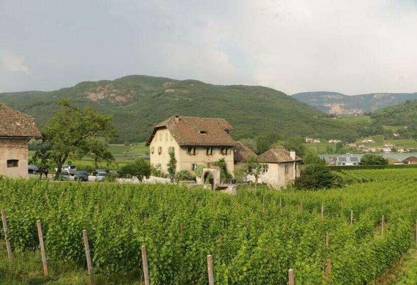 سوییت, Weinbergsuite Panholzer