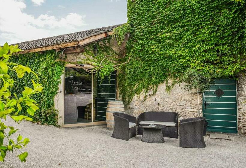 سوییت, Weinbergsuite Panholzer