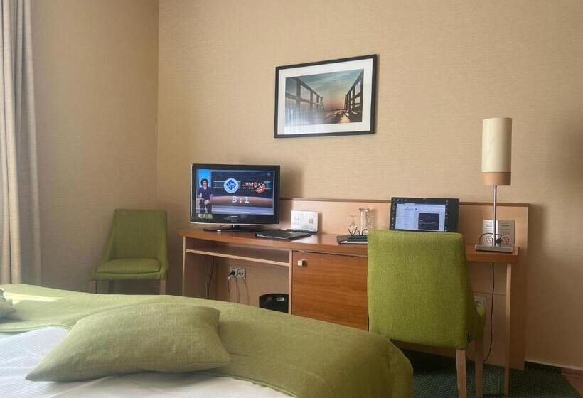 اتاق سوپریور یک تخته, Atrium Hotel Krüger