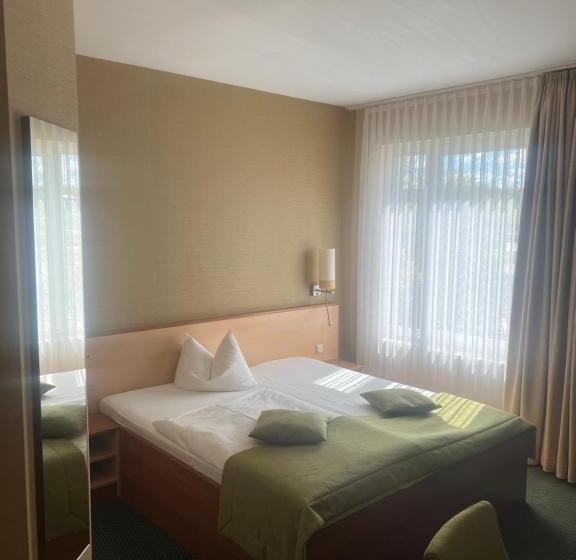 اتاق سوپریور یک تخته, Atrium Hotel Krüger
