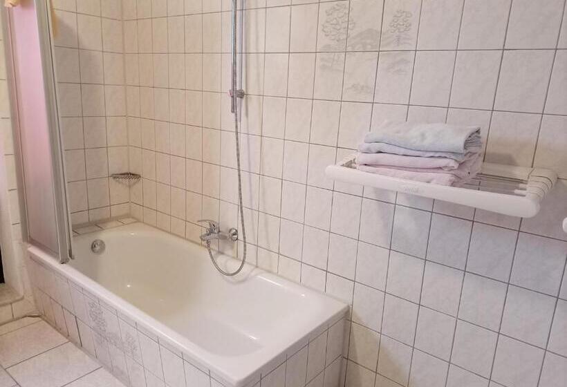 Apartamento 1 Dormitorio, An Der Karlstadt