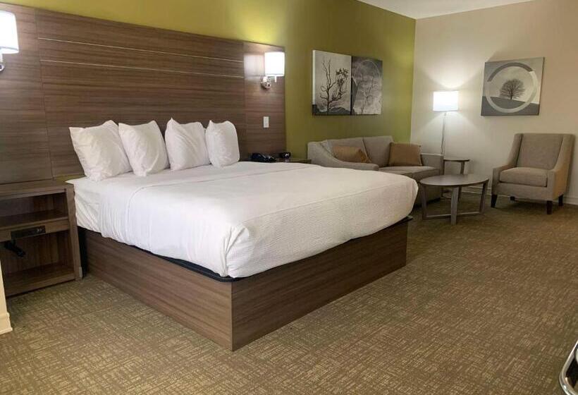 اتاق استاندارد با تخت بزرگ برای معلولان, Best Western Plus Horseheads Inn & Suites
