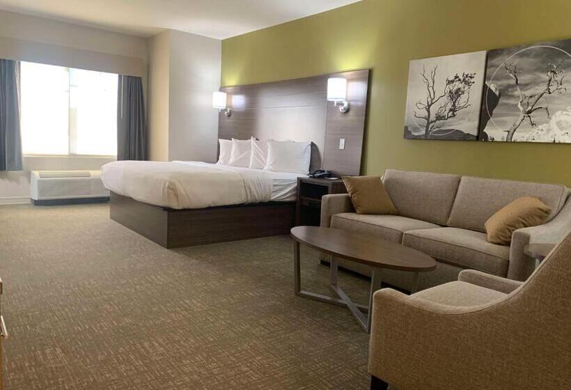 اتاق استاندارد با تخت بزرگ برای معلولان, Best Western Plus Horseheads Inn & Suites