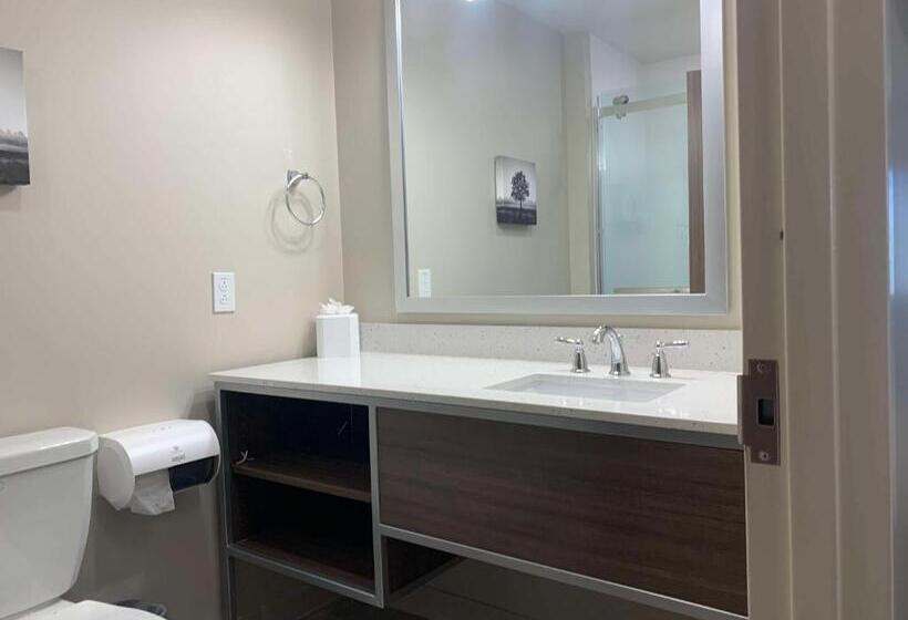 سوئیت برای معلولان, Best Western Plus Horseheads Inn & Suites