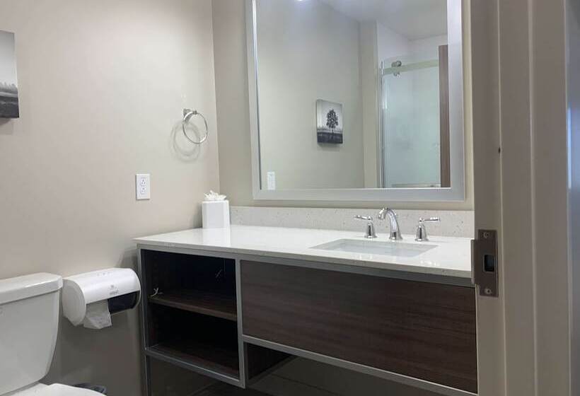 سوئیت برای معلولان, Best Western Plus Horseheads Inn & Suites