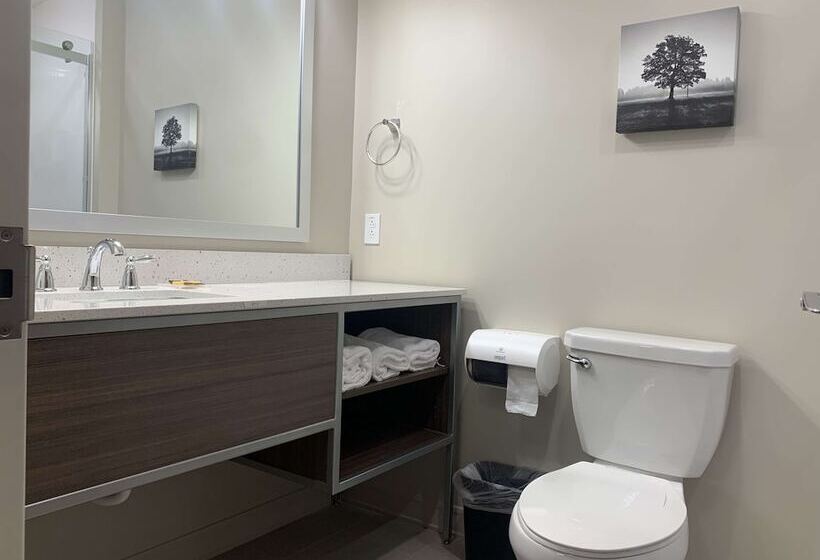 سوئیت برای معلولان, Best Western Plus Horseheads Inn & Suites