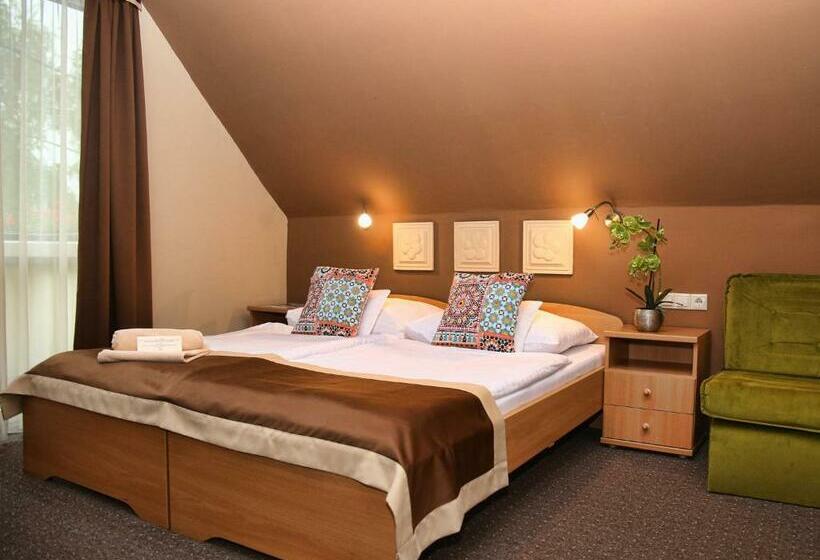 اتاق سوپریور, Alfa Hotel & Wellness Miskolctapolca