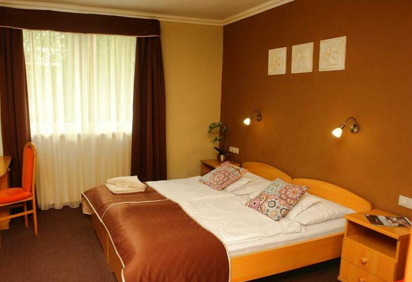 اتاق سوپریور, Alfa Hotel & Wellness Miskolctapolca