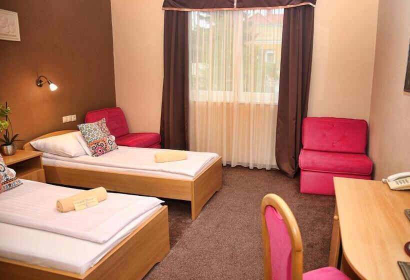 اتاق استاندارد یک نفره, Alfa Hotel & Wellness Miskolctapolca