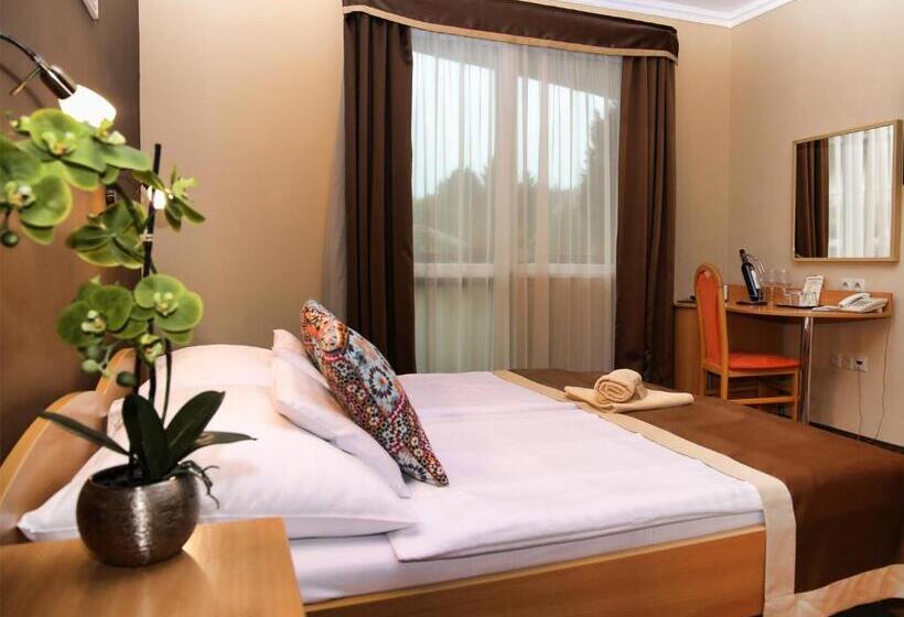 اتاق استاندارد یک نفره, Alfa Hotel & Wellness Miskolctapolca