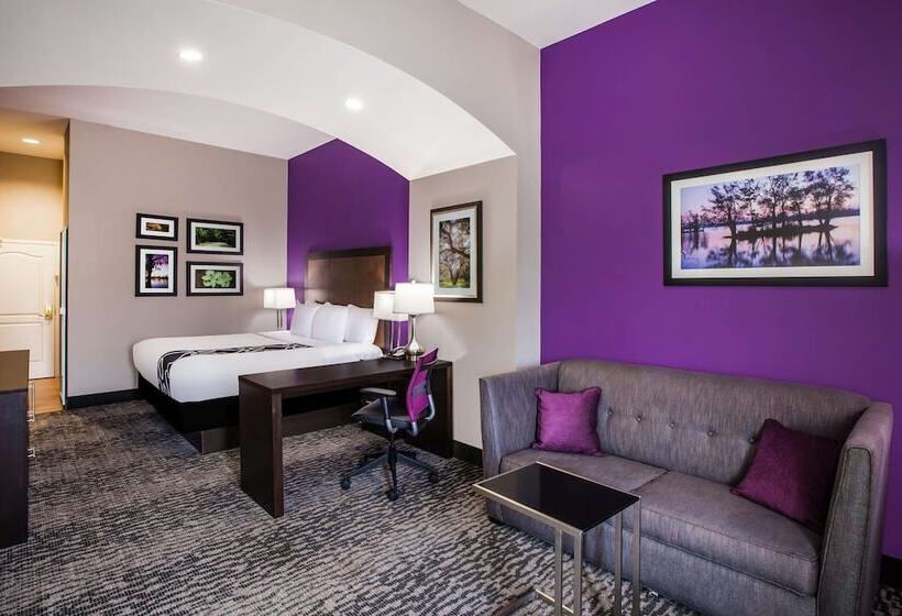 اتاق دلوکس مخصوص معلولین, La Quinta By Wyndham Baton Rouge Denham Springs