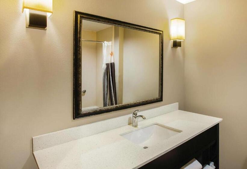 اتاق استاندارد با تخت بزرگ برای معلولان, La Quinta By Wyndham Baton Rouge Denham Springs