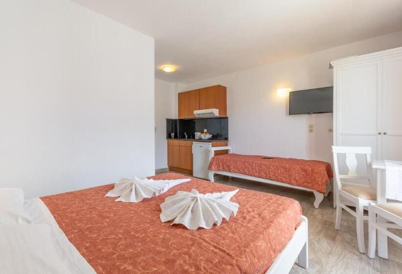 استودیو استاندارد با چشم‌انداز استخر, Irini Apartments