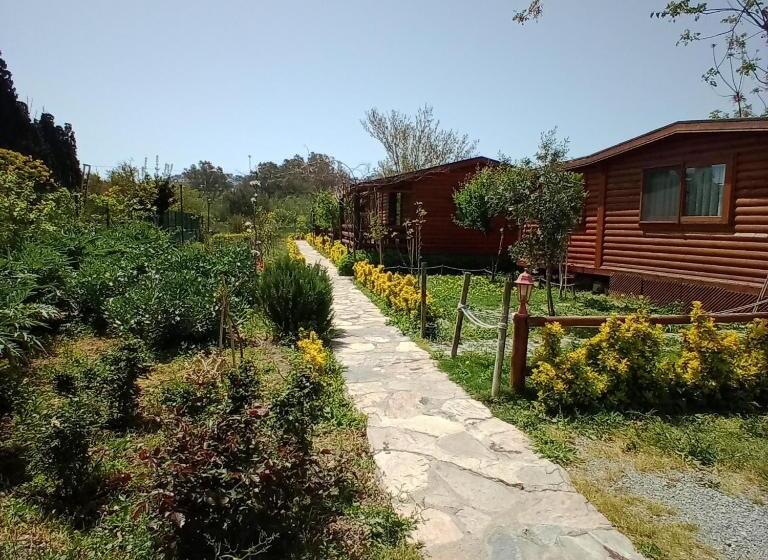 آپارتمان 1 خوابه با چشم‌انداز باغ, Defnewoodhome